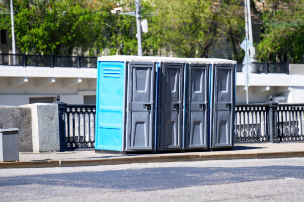 Best Affordable portable toilet rental  in Oak View, CA